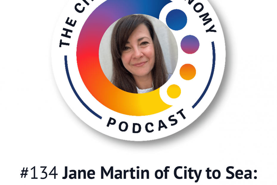 Artwork for episode 134 with Jane Martin of City to Sea